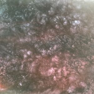 Meet your Posher, Steven